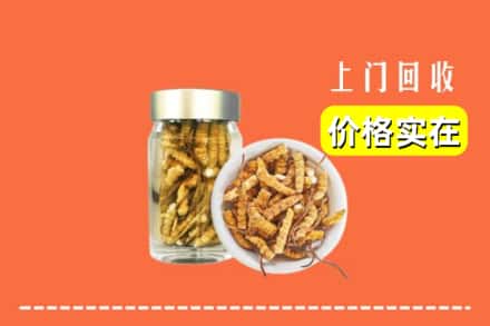 哈尔滨延寿回收散虫草