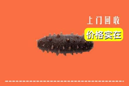 哈尔滨延寿回收海参