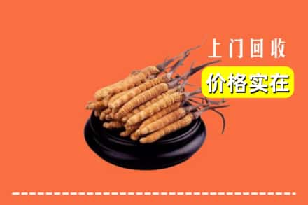 哈尔滨延寿回收冬虫夏草