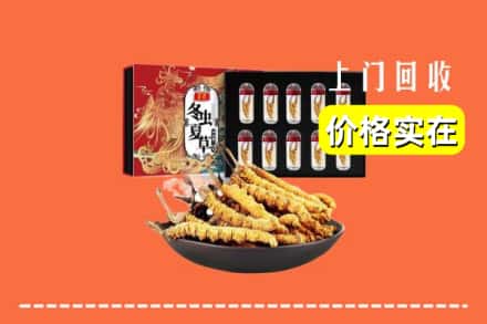 哈尔滨延寿回收虫草